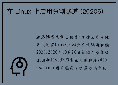 在 Linux 上启用分割隧道 (20206) 