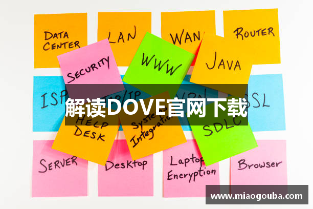DOVE VPN - 专业级加速方案 畅联全球互联网